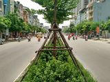 Bán Nhà Mặt Phố Tân Mai, Nhà Mặt Phố, Giá Trong Ngõ.