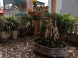 Bán Nhà Đường Minh Khai, Hbt 74M2 5 Tầng Chỉ 5.4 Tỷ Ô Tô Vào Nhà