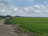 Bán Đất Nông Nghiệp Huyện Hóc Môn Giá Chỉ 450K/m2