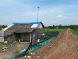 Bán Đất Nông Nghiệp Huyện Hóc Môn Giá Chỉ 450K/m2