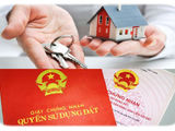 Cần Bán Gấp Đất Kênh Tân Hóa, Đầm Sen