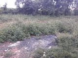 Cần Bán Nhà Hẻm Trần Quý Cáp