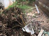 Bán 39M Đất Trong Đê Yên Nghĩa-Hđ-Ngõ 2M-Cách Đường ôtô 100M-Sđcc-820Tr