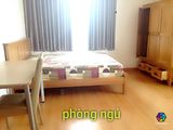 Cho Thuê Căn Hộ Phú Hoàng Anh,3 Pn, Nội Thất Đầy Đủ