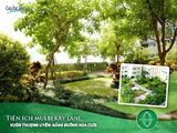 Mulberry Lane: Chỉ Với 24 Triệu/m2 Sở Hữu Căn Hộ Sang Trọng Full Nội Thất