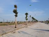 Lô Đất Sổ Đỏ Cuối Cùng Dự Án Dragon City Không Ép Xây