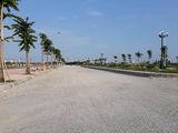 Kdt 379- Cuộc Sống Trong Mơ, Hạnh Phúc Bất Ngờ. Lh 0974030444