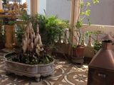 Nhỉnh 5 Tỷ Ngõ Oto Quận Hai Bà Trưng 68m2, 5 Tầng Chỉ 5.3 Tỷ.