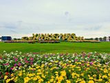 Bán Giá Gốc Bao Thuế Phí Căn 3Pn Tòa Park 7 Tầng Phong Thủy Đẹp View Sông Công Viên Trực Diện