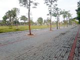 Liền Kề Westpoint Nam 32, Vị Trí Đẹp, Giá Chỉ Từ 21 Tr/m2, Có Khuôn Viên Cây Xanh Thoáng Mát.