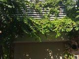 Bán Nhà Đẹp Phố Mới Mở Giữa Thái Thịnh - Thái Hà 48M2 Mt 5M (Giá 11.5 Tỷ) Lh: 0972244296
