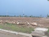 Đất Nam Nguyễn Tri Phương Đường Thông Hướng Tây Bắc. Diện Tích 100m2