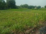 Vỡ Nợ Cần Bán Gấp 1490M2 Có 120M2 Thổ Cư Đất 2 Mặt Tiền Xã Tân Quý Tây, Bình Chánh
