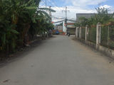 Sở Hữu Ngay 1300m2, Đường T5 Ngang 20m, Giá 2.5 Tỷ Hưng Long Thành Phố Hồ Chí Minh