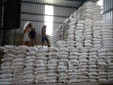Cho Thuê Kho Trong Kcn Sóng Thần 1, Kcn Sóng Thần 2, Bd