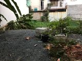 Bán Đất Đường 21 Ql13 Cũ Hiệp Bình Chánh Thủ Đức 99,1M2