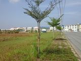 Đất Mặt Tiền Đường Đoàn Nguyễn Tuân, 830M2, Shr, Ngang 25, Giá 2,7 Tỷ.