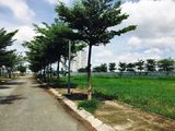 Kdc Cát Lái, Quận 2, Thổ Cư 100%, Sđr, Chiết Khấu 5 Chỉ Vàng