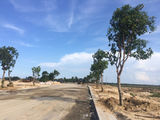 Công Ty Địa Ốc First Real Chính Thức Mở Nhận Đặt Chỗ Siêu Dự Án River View.