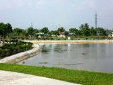 Đất Mặt Tiền Khu Dịch Vụ Tân Bình – Dĩ An