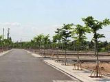 Đất Nền Mt Nguyễn Duy Trinh Quận 2, Pháp Lí Đầy Đủ, 100M2 Giá 795Tr, Thích Hợp Đầu Tư