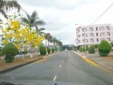 Cần Tiền Cần Bán Gấp Đất Mt Đường Nguyễn Thị Định Quận 2 Giá Phải Chăng