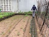 Bán Đất Thôn Lai Xá, 35m2, Giá 665 Triệu, Hướng Bắc.