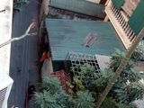 Bán Nhà Khu Vp Hoàng Văn Thái, Thanh Xuân, 52m2, 6.8 Tỷ, Ô Tô Tránh, Phấn Lô.