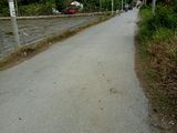 2000m2 Đất Mặt Tiền, Giá 5,2 Tỷ Đường Liên Ấp 2-3-4, Xã Tân Qúy Tây, Huyện Bình Chánh.