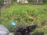 1101 M2 Thổ Cư Đường Tân Liễu Xã Tân Quý Tây, Bình Chánh.