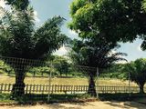 Đất Bicosi Tân Bình, Dĩ An. Kinh Doanh Buôn Bán Giá Mềm Nhất Khu Vực