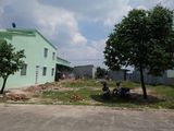 Tuổi Cao Sức Yếu Bán Gấp Lô Đất Bình Dương Chính Chủ Giá Rẻ Dt 300m2