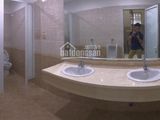 Cho Thuê Văn Phòng 140M2 Tại Sô 116 Vũ Trọng Phụng, Thanh Xuân. Lh 01298107382