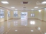 Cho Thuê Văn Phòng 140M2 Tại Sô 116 Vũ Trọng Phụng, Thanh Xuân. Lh 01298107382