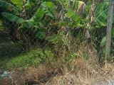 Đất Bình Chánh Giá Rẻ 188m2 Giá Chỉ 690 Triệu Xã Tân Quý Tây Huyện Bình Chánh