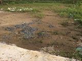 Đất Bình Chánh 188M2, Giá 650Tr Đường Nhánh Đoàn Nguyễn Tuân, Xã Tây Qúy Tây