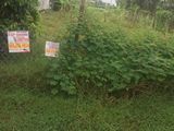 Cần Sang Lại 200 M2 Xã Tân Quý Tây, Bình Chánh Giá 650Tr.