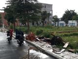 Bán Đất Khu Dân Cư An Phú Đông, Quận 12, Tp. Hcm