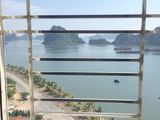 Bán Căn Hộ Chung Cư Thuộc Chung Cư Licogi 18.1 Tower Ở Cột 8, Hồng Hà Hạ Long-Hướng Thẳng Biển