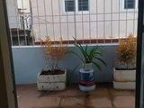 Nhà Đẹp Vũ Tông Phan, Kinh Doanh, Dt 38M2, 5 Tầng, Mt 5M, Giá 3,65 Tỷ.