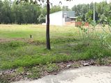 Cần Bán Gấp Lô Đất 600m2 Mặt Tiền Chợ Đường Nhựa 25m Sát Kcn.