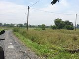 Bán Gấp 1100m2 Đất (Có 120m Thổ Cư), Xã Tân Qúy Tây, Bình Chánh.