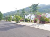 Green Home Quy Nhơn Dẫn Lối Về Thiên Nhiên
