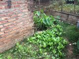 Bán Đất Thổ Cư Lai Xá, Hướng Đông Bắc, 38M2 Giá 798 Triệu.