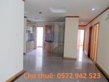 Cho Thuê Căn Hộ Phú Hoàng Anh - 3 Phòng Ngủ - Hoàn Thiện