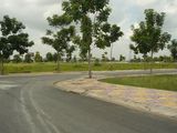Đất Nền Khu Hoàng Long Đường Nguyễn Trực Và Đường Phan Văn Mảng