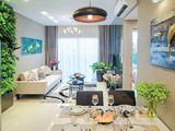Căn Hộ Sinh Thái Liền Kề Q1, Lê Quang Kim, Phường 8, Quận 8