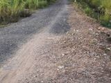 Bán Đất (5,69x13,6) 56m2 Ngay Gần Ubnd Phường Linh Đông 1 Tỷ