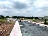 Khách Kí Gửi Lô Đất Mt Bình Chánh, Shr, Xd Tự Do