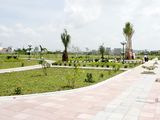 Ngân Hàng Sacombank Thanh Lý 5 Lô Đất 100M2, Mặt Tiền Ql50 + Trả Góp 0 Lãi Suất